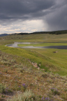 Photo of a landscape with grasses in the foregound, a river in the middle and low hills in the background with dark gray clouds in the sky 